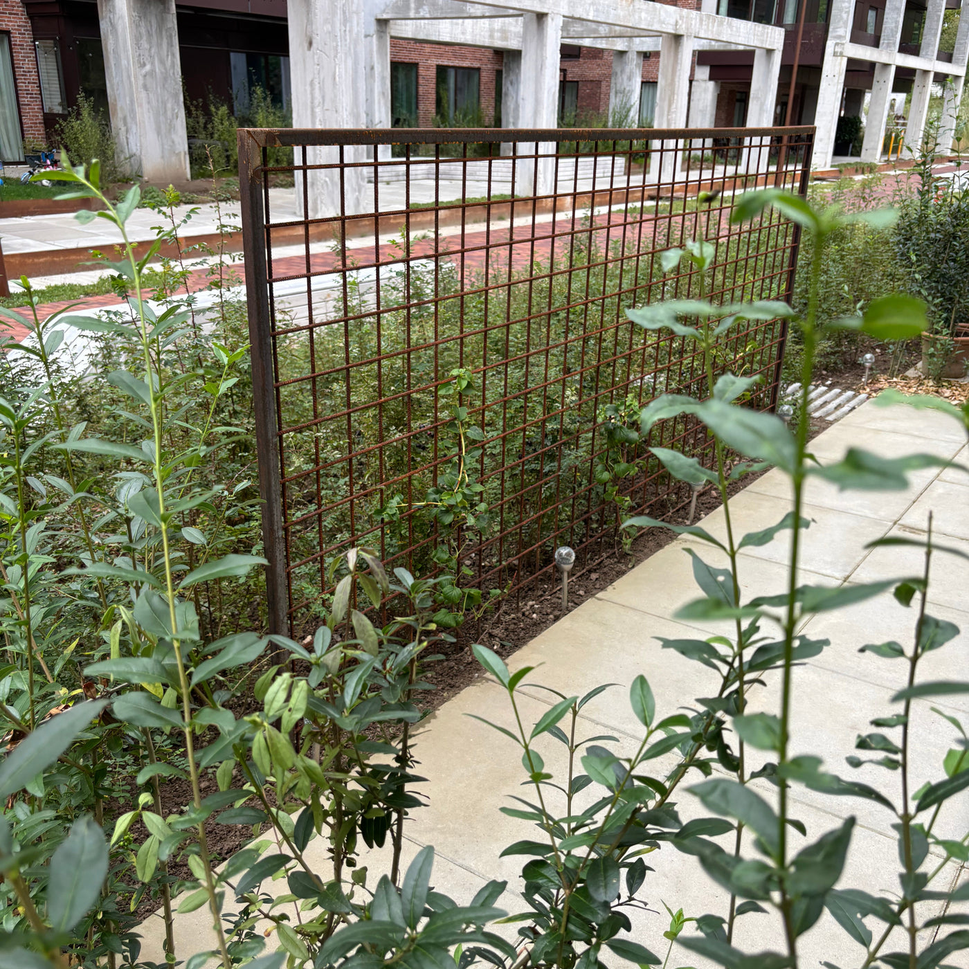Espalier rusten fritstående