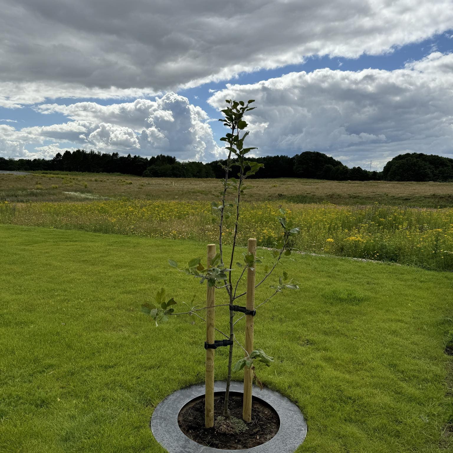 Robotcirkel I Cortenst l St lhaven Robotcirkel I Cortenst l St lhaven